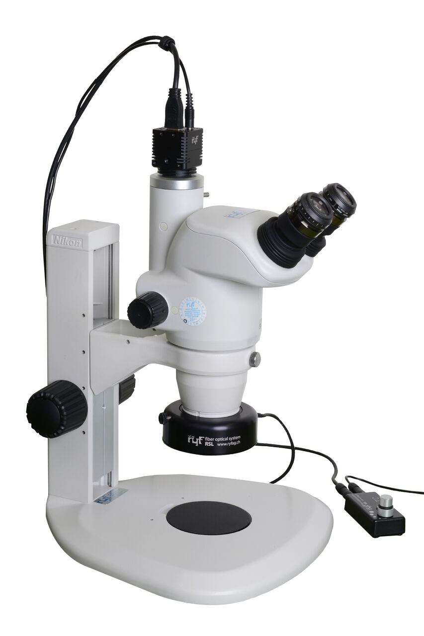 microscope stéréoscopique / Loupe binoculaire Ryf AG
